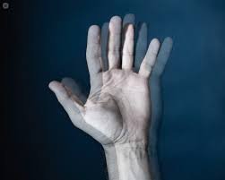 ازدواجية الرؤية
