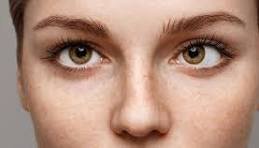 ما الفرق بين قصر النظر وطول النظر؟