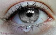 كيف تشفي الدموع؟ العلم يجيب