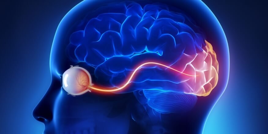 تورم العصب البصري: الأسباب الخطيرة وأهم الفحوصات