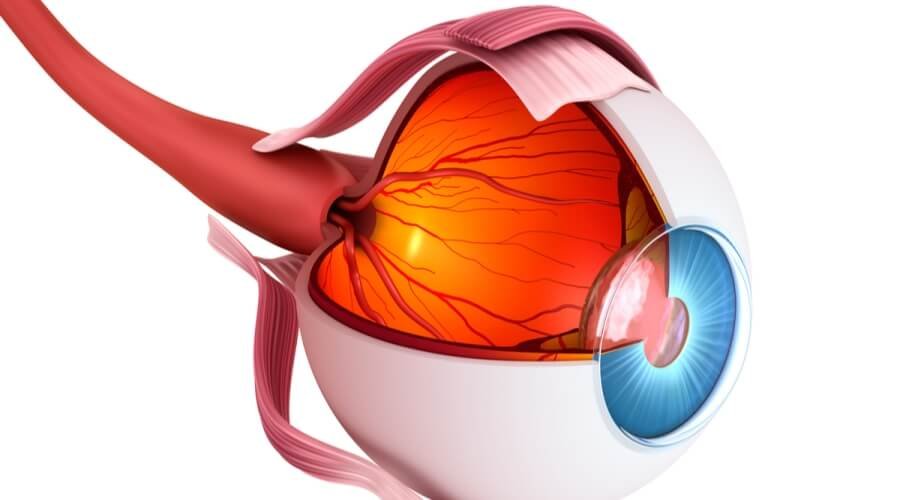 الأورام العصبية وتأثيرها على الرؤية: الأعراض المبكرة وطرق التشخيص